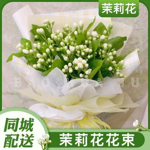 茉莉花束价格 茉莉花束图片 星期三