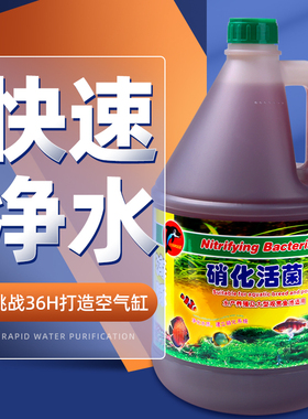 海豚牌硝化细菌活菌鱼缸用安定剂除氯净水剂消化水质稳定剂养鱼用