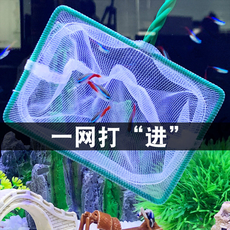 鱼捞小鱼网细眼小号捞鱼网兜超密鱼缸家用小细网大号金鱼捞网抄网