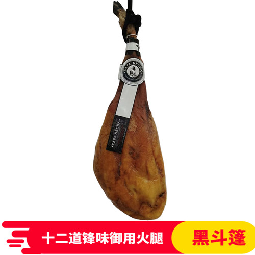 黑斗篷西班牙伊比利亚capanegra
