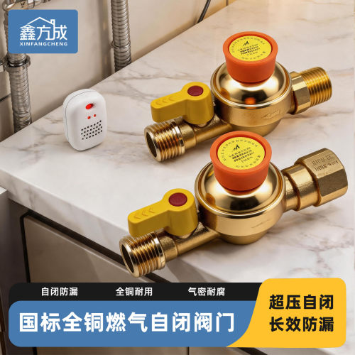 管道燃气天然气自闭阀