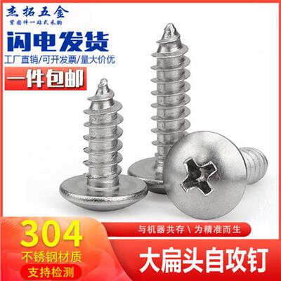 M3M3.5M4M5M6大扁头自攻螺丝304不锈钢十字蘑菇头伞形木牙螺丝钉