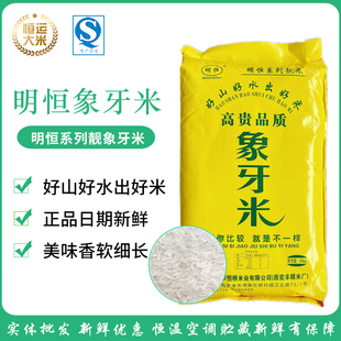 广西贵港特产大米30斤 明恒象牙香粘米15kg 优质晚稻长粒香米袋装