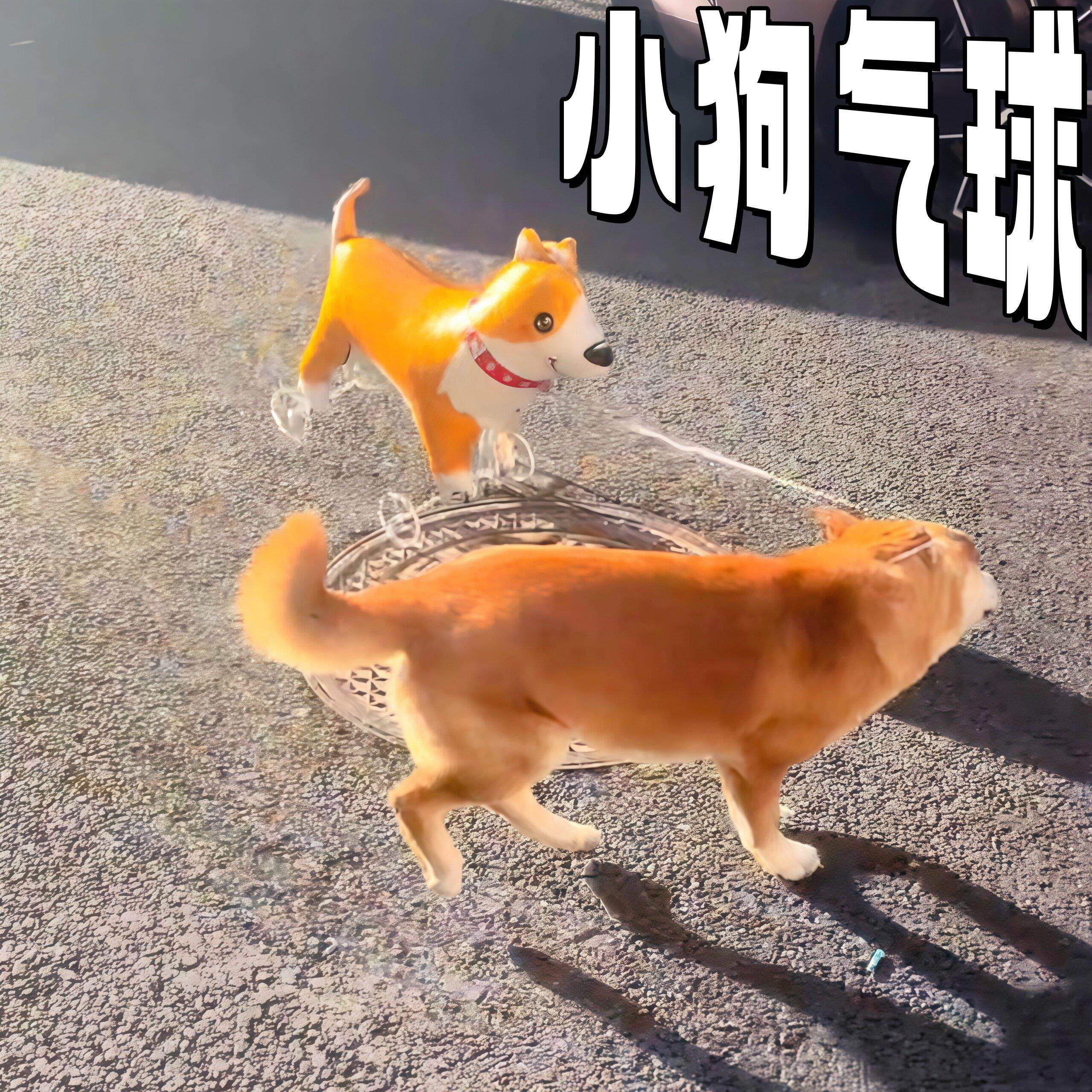 解闷玩具球会走路的小狗气球站立