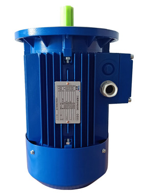 ZIK紫光三相异步电机MS8024-0.75KW马达电压380V转速1400r现货