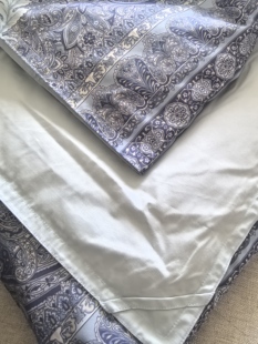 日本品牌夏季空调羽绒被子可机洗水洗鸭绒被学生单人双人被子250g