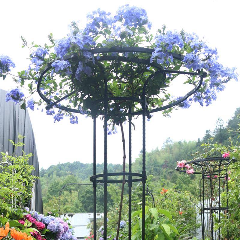 蘑菇爬藤架园艺花架庭院花园伞型铁艺爬藤花架铁线莲蓝雪花素馨花