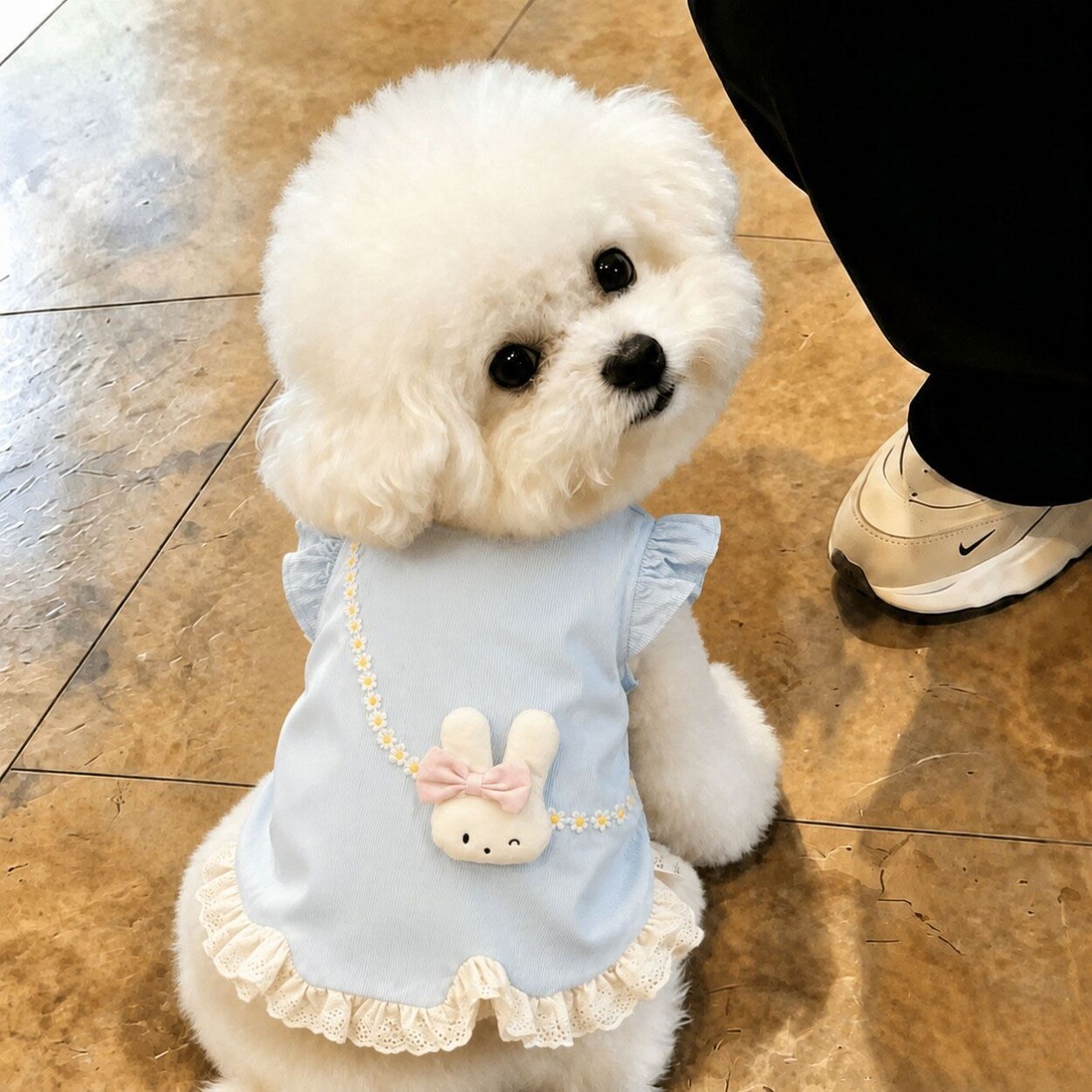 宠物狗狗衣服连衣裙夏季甜美可爱花边小裙子夏装小型犬比熊泰迪