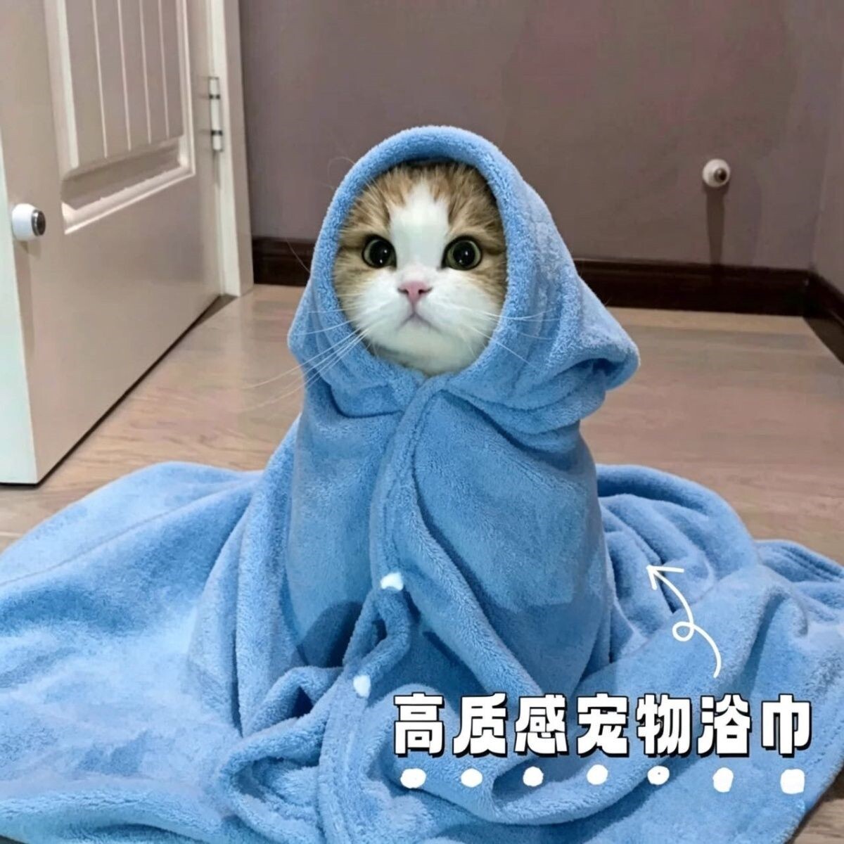 宠物浴巾毛巾加厚速干不粘毛狗狗猫咪专用洗澡毛巾专用不掉毛吸水