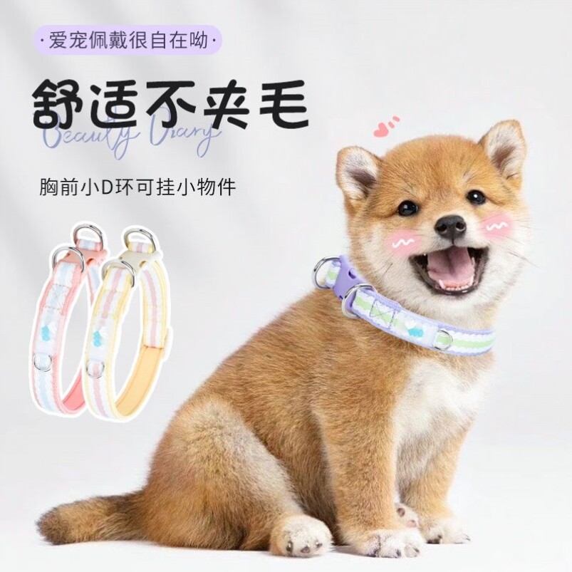 狗狗项圈狗脖圈结实宠物金毛柯基大中小型犬比熊围脖外出可牵引