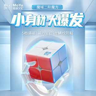 魔域文化二2阶魔方磁力儿童益智玩具正品 比赛专用威魄WRS魅龙RS2M