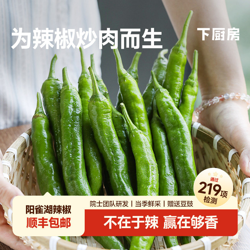 下厨房阳雀湖辣椒 薄皮肉嫩 微辣椒香 当季鲜采 院士团队研发 - 实物图
