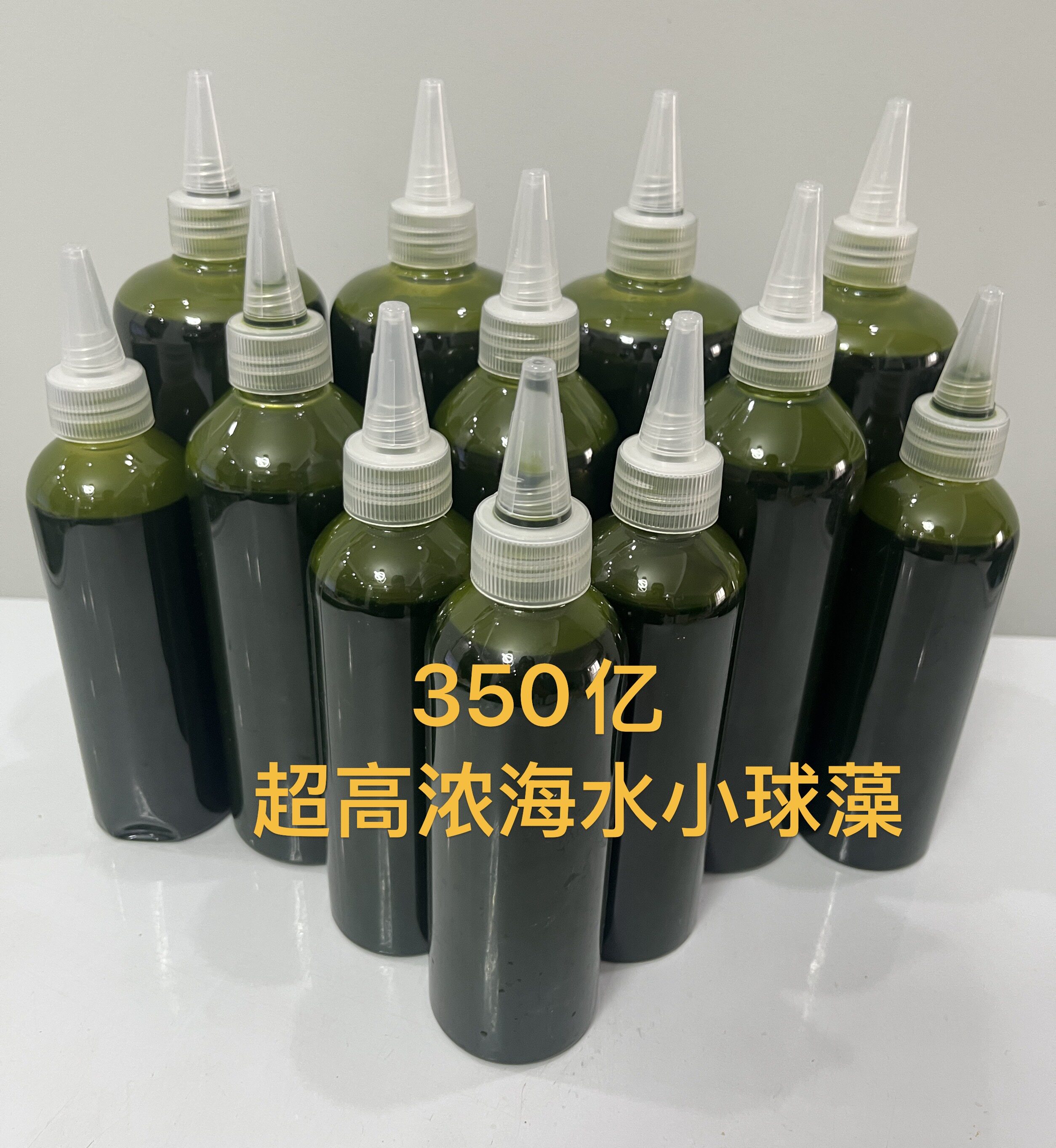包邮超浓缩海水小球藻喂养海水轮虫饵料小丑鱼繁殖专用新品优惠