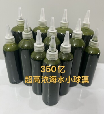包邮超浓缩海水小球藻喂养海水轮虫饵料小丑鱼繁殖专用新品优惠