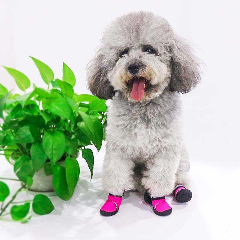 狗狗鞋子泰迪小型犬比熊博美雪纳瑞防水防掉软底宠物鞋狗狗脚套