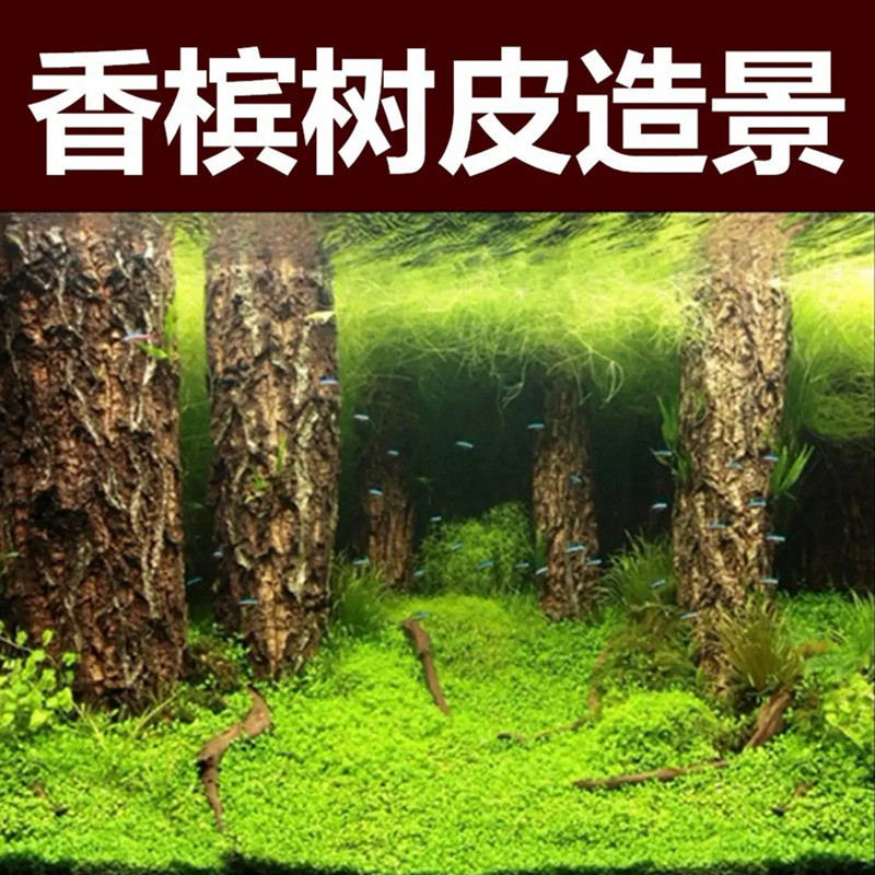 纯天然真树皮软木树皮香槟树皮爬宠躲避水族箱鱼缸造景雨林缸绿植
