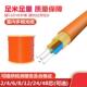 室内光缆多模光缆4芯6芯8芯12芯24芯48芯GJPFJV束装 125国标电信级 成品室内光缆线50