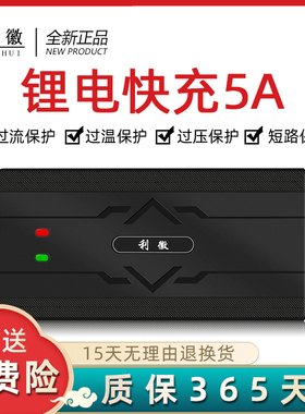 电动车锂电池充电器24V36V48V60V72V84V96V54.6V5A三元 铁锂 快充