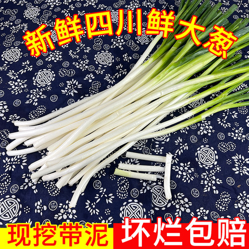 新鲜四川大葱下单现挖发货