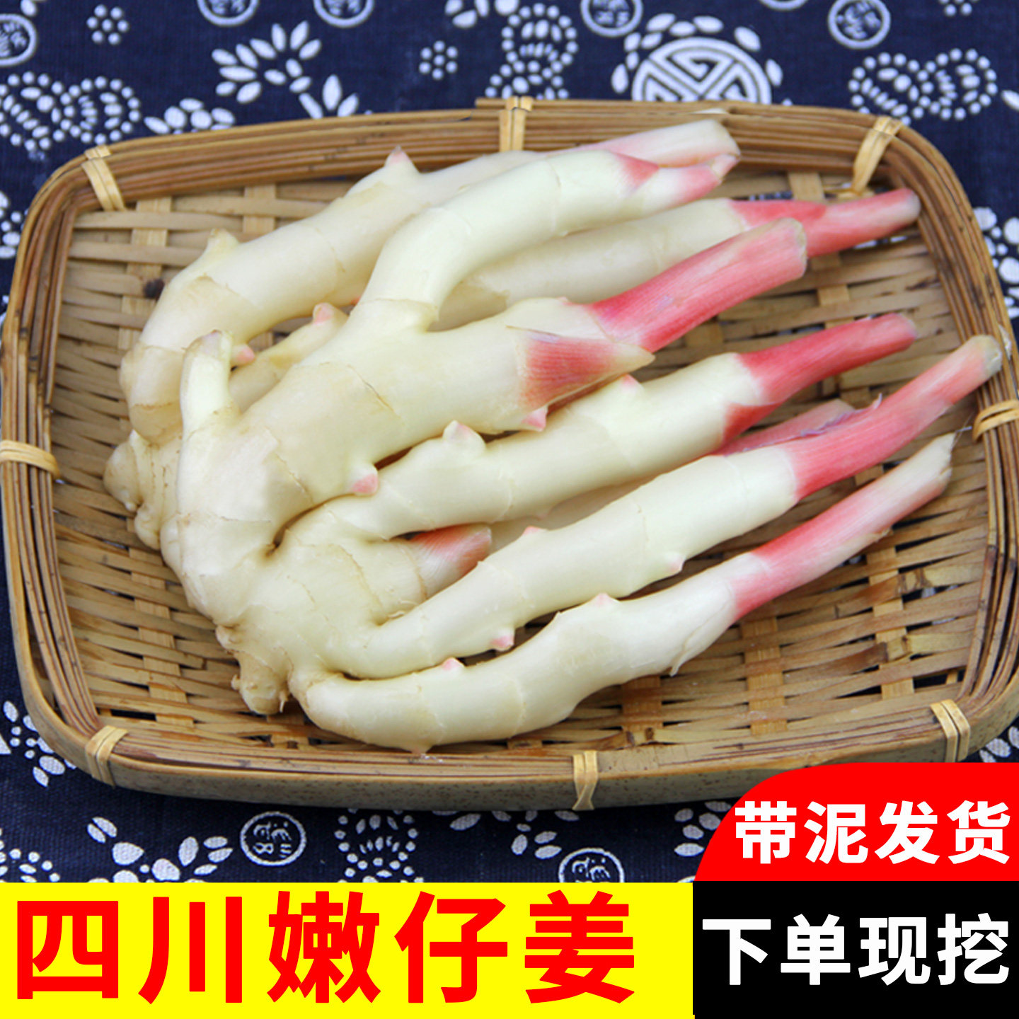 仔姜嫩姜新鲜四川嫩仔姜子姜芽红芽五指鲜姜竹根姜泡菜醋泡鲜生姜