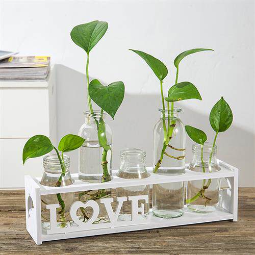 创意水培小花瓶透明玻璃水养绿萝植物花盆桌面装饰办公室摆件插花