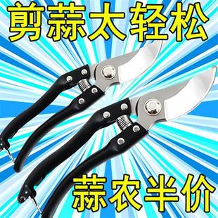 大蒜剪大蒜专用剪子剪蒜头剪蒜胡剪蒜根农用大葱农业工具镐斧 新款