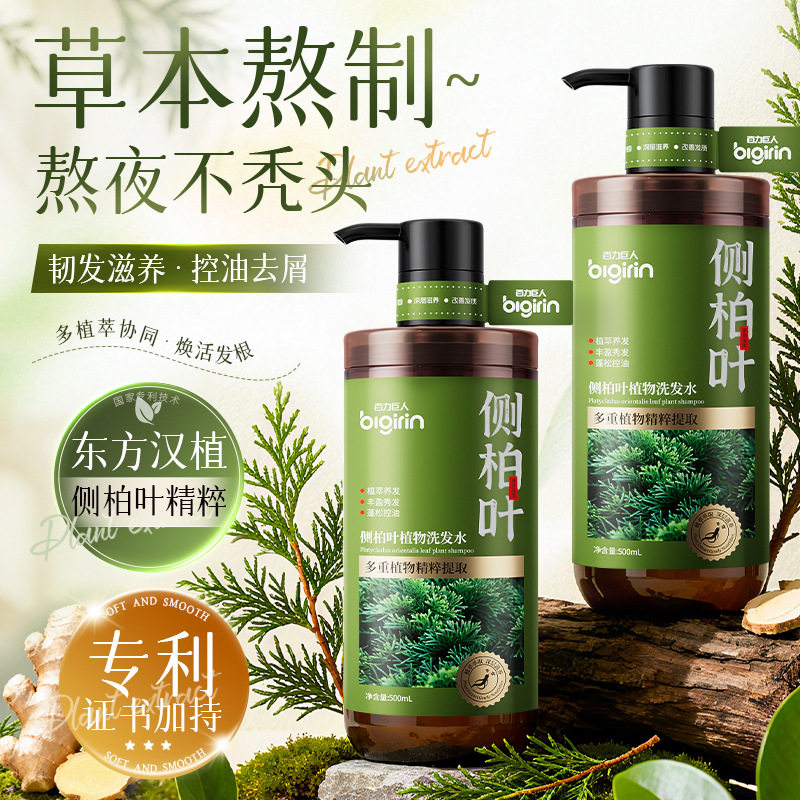 百力巨人侧柏叶防断发控油洗发水