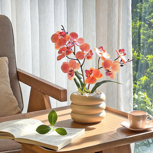 ins蝴蝶兰盆栽仿真花手感假花逼真花卉盆景绿植客厅餐桌装饰摆件