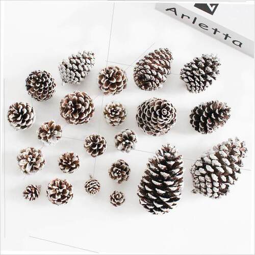 Christmas dyed white pine cone dried flower DIY material