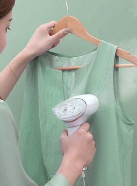 Handheld Steamer Portable Steam Electric iron 220V 1000W