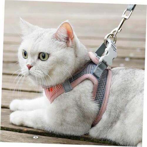 Breathable Cat Harness Leash Escape Proof Pet Clothes vest