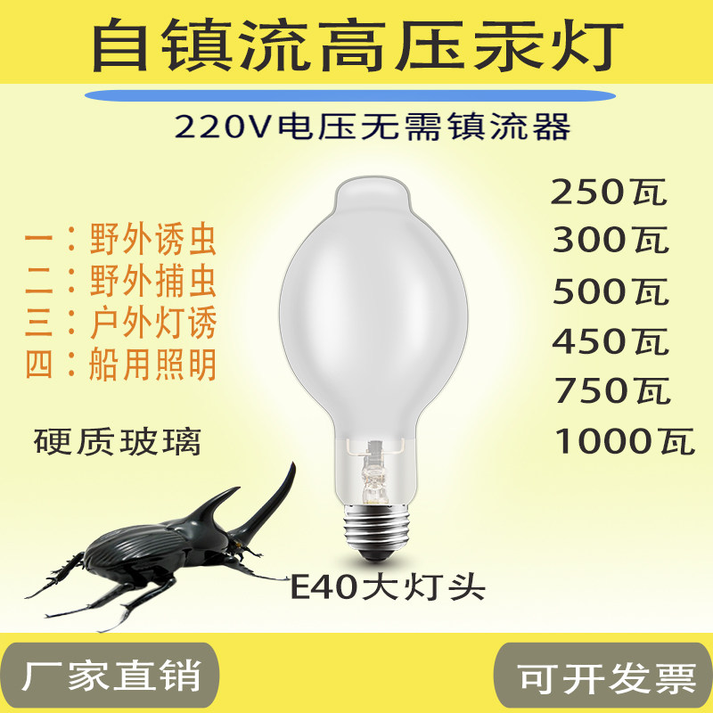 自镇流汞灯紫外线灯水银灯诱虫灯