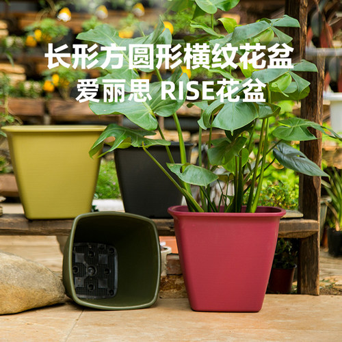 爱丽思flowl纹理碗形树脂花盆