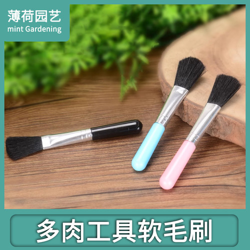 多肉苔藓工具软毛刷除灰