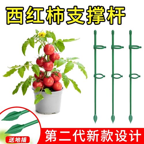 西红柿番茄绣球龟背固定杆爬藤园艺花架花支撑架植物防倒伏支撑杆