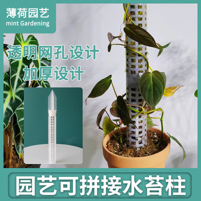 水苔柱爬藤支架固定支架