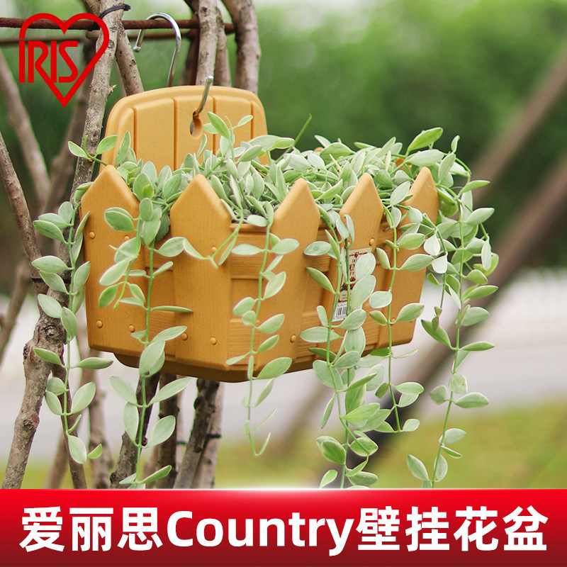 爱丽思壁挂花盆简约塑料爱丽丝