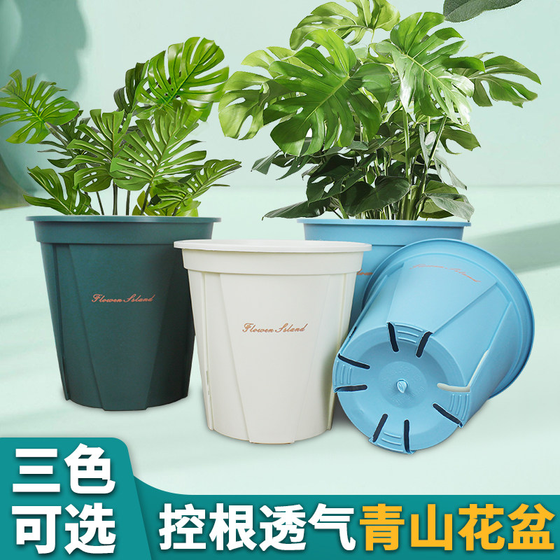 青山盆青色白色排水透气控根盆圆形小号不烂根月季懒人塑料花盆,鲜花速递/花卉仿真/绿植园艺,花盆,淘宝优惠券,粉丝福利购,淘宝优惠卷