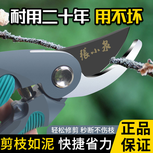 张小泉&史拉力枝剪鲜花花艺
