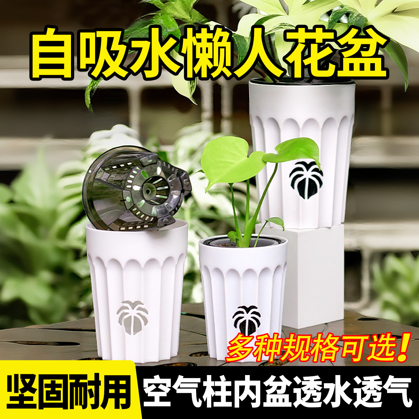 花烛海芋龟背竹热植盆蝴蝶兰懒人自吸水花盆水培套盆加高高档透气图片