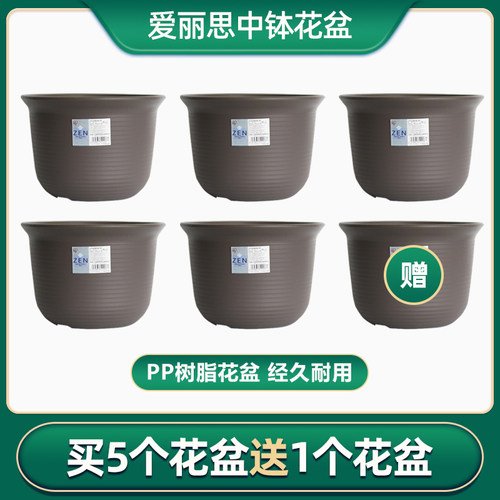 新款塑料加厚发财树爱丽丝仿陶瓷