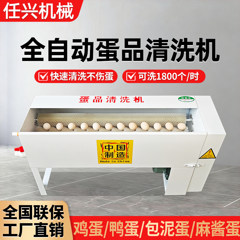 洗蛋机新型全自动蛋品清洗机泥蛋麻将蛋咸鸭蛋不锈钢鸡蛋清洗机,清洗/食品/商业设备,打蛋机/洗蛋机/磕蛋机,淘宝优惠券,粉丝福利购,淘宝优惠卷