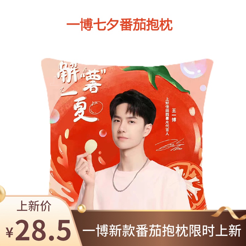 【王一博同款】上好佳oishi田园薯片周边抱枕
