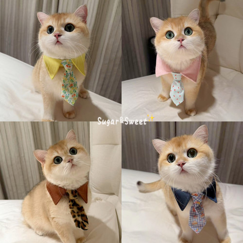 猫咪围脖狗狗围兜帅气围领宠物假领带装饰品小型犬配饰英短布偶