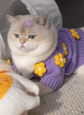 猫咪可爱紫色针织毛衣