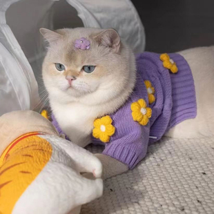 宠物衣服秋冬季狗狗猫咪可爱紫色针织毛衣开衫比熊马尔济斯布偶猫