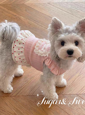 狗狗猫咪衣服夏季韩系ins可爱粉色公主裙宠物背心比熊雪纳瑞装扮