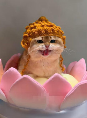 佛祖猫咪头套狗狗帽子可爱变装帽