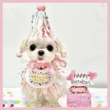 Корейская собака и кошачья вечеринка биб питоц