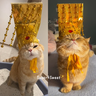 猫咪皇帝帽宫廷头饰创意搞怪狗狗头套宠物秦始皇头冠cos拍照出片